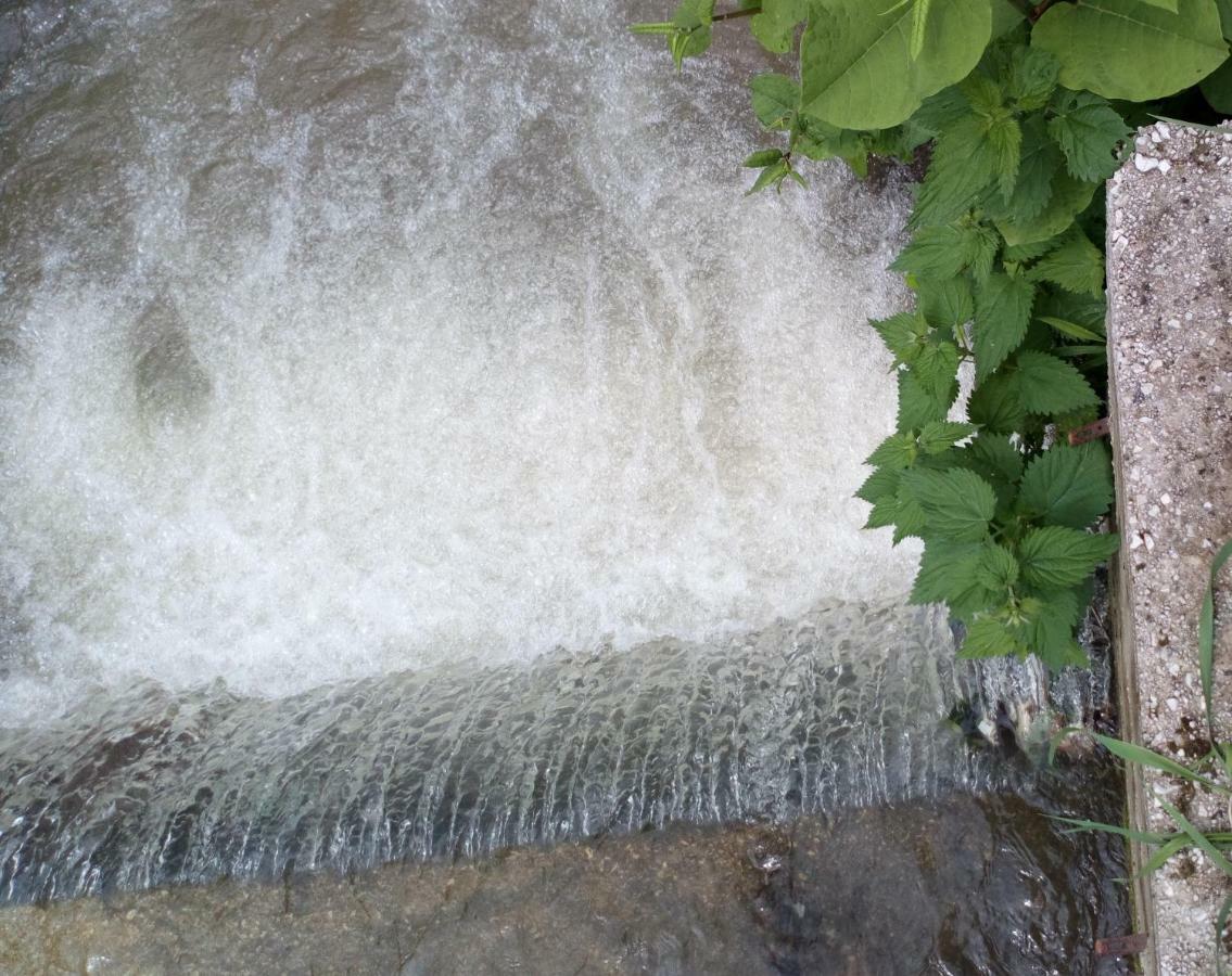 Cottage Forest Stream Високо Экстерьер фото
